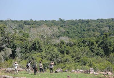 Best Asilia Walking Safari