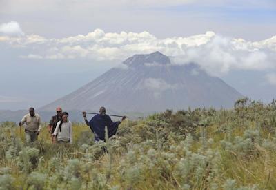 Best of Asilia & Crater Safari