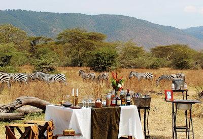 Carefree Tanzania Safari