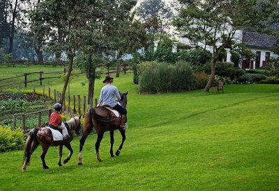 Carefree Tanzania Safari