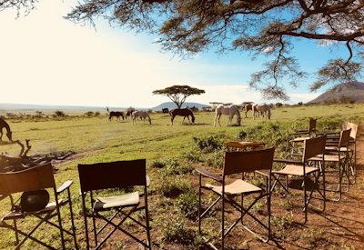Lolkisale Horseback Safari