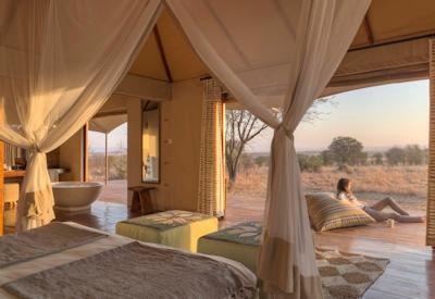 Luxury Tanzania North & South Safari