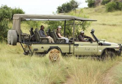 Luxury Tanzania North & South Safari