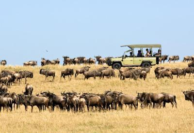 Migration, Crater & Beach Safari