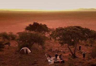 Ngorongoro To Serengeti Walk