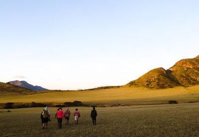 Ngorongoro To Serengeti Walk