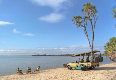 Ruaha And Selous Safari
