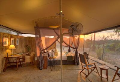 Ruaha And Selous Safari