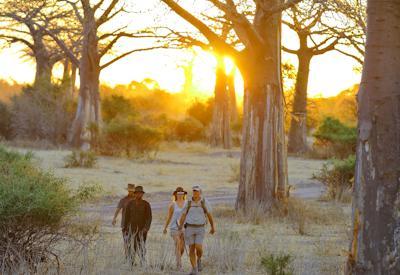 Ruaha And Selous Safari