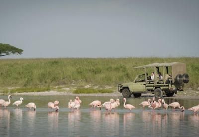 Serengeti To Southern Tanzania Safari