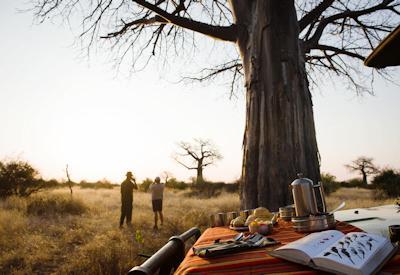 Southern Tanzania & Zanzibar Safari