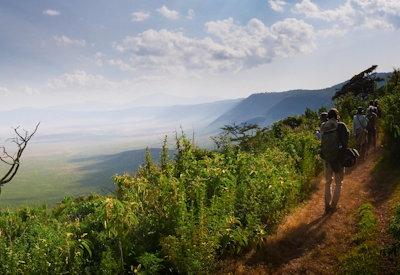 Steps Around Ngorongoro