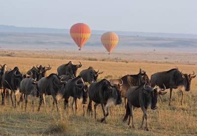 Taste of Tented Safari