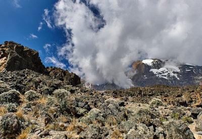 The Lemosho Route Kilimanjaro