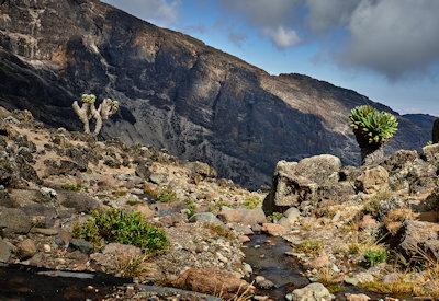 The Machame Route Kilimanjaro