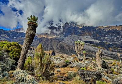 Kilimanjaro Marangu Route