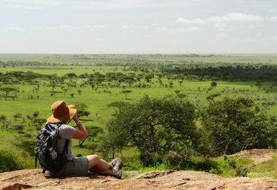 Walk The Great Migration