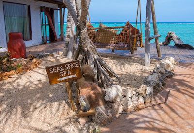 Zanzibar Health and Wellness