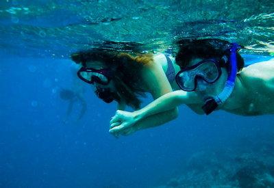 Zanzibar Health and Wellness