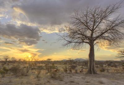 Jabali Private House Remote and Wild