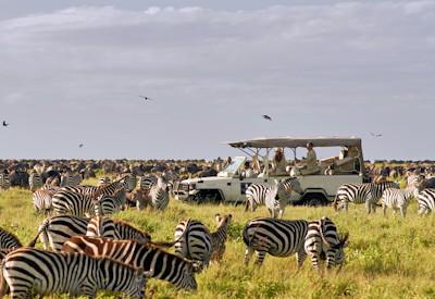 Sanctuary Kusini Camp Honeymoon