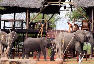 Selous Impala Camp Remote and Wild