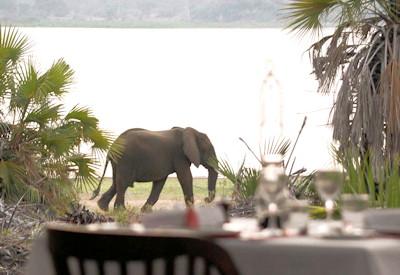 Siwandu Camp Remote and Wild