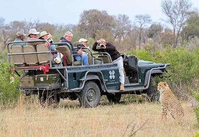 Travel Apps for Africa