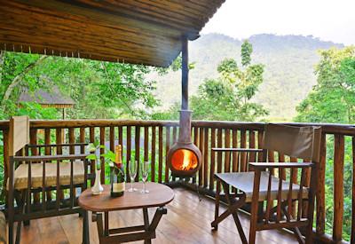 Mountain gorilla trek safari packages from the lodge