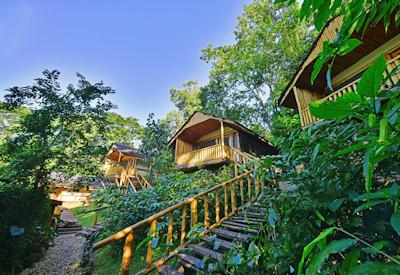 10 forest chalets in the Bwindi