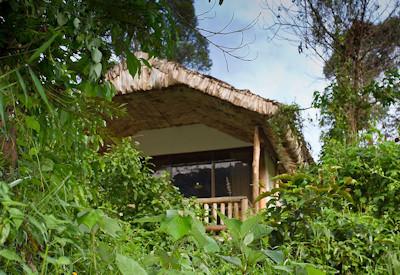 Lodge close to park headquarters of Bwindi