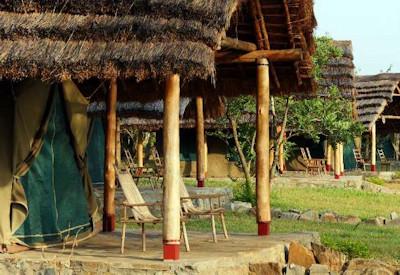 Exceptional nature lodges with room service