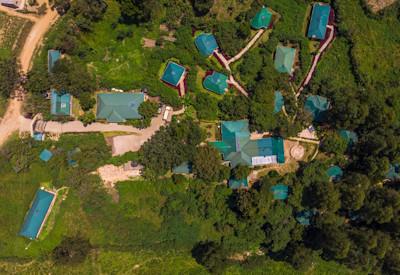 Safari lodge surrounded by a lush jungle region
