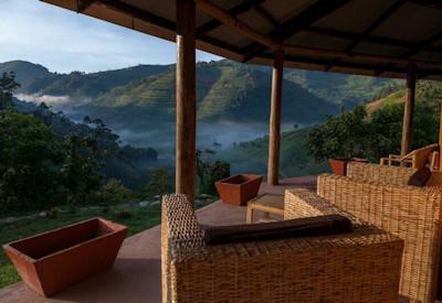 Vistas out over the natural world