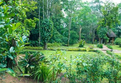 Surrounded by the Kibale Forest National Park