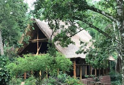 Grass thatched roof chalets