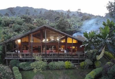 Bwindi Impenetrable Forest lodge