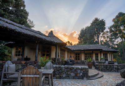 Lodge surrounded by a central africa rain forest
