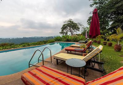 Views of banana and tea plantations