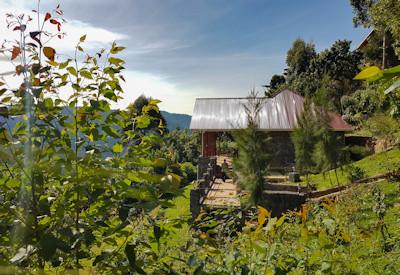 A garden cottage with captivating scenery