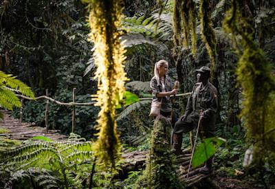 Mountain gorilla trekking options and hikes
