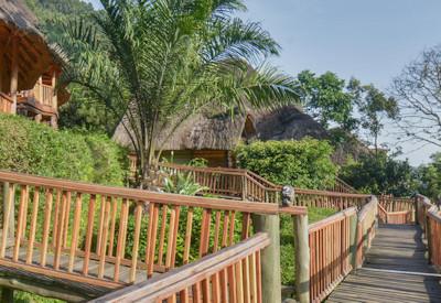 Safari Lodge surrounded mighty bwindi forest