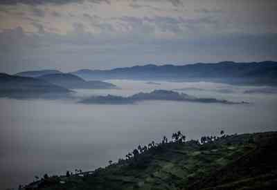 Uganda Bwindi Impenetrable Forest