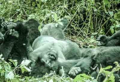 Budget Murchison Falls National Park