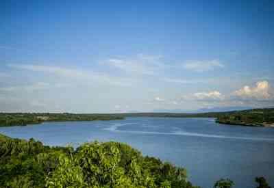 Budongo Central Forest Reserve
