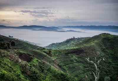 Bwindi Impenetrable Forest National Park