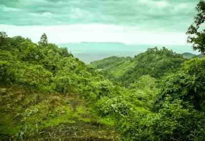 Views from Volcanoes Bwindi Lodge