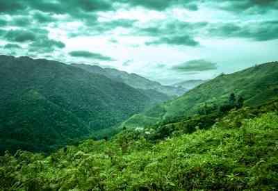 Virunga Conservation area with mist