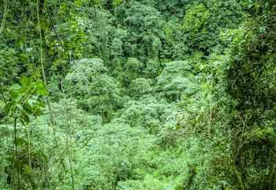 Lakes Bulera and Ruhondo