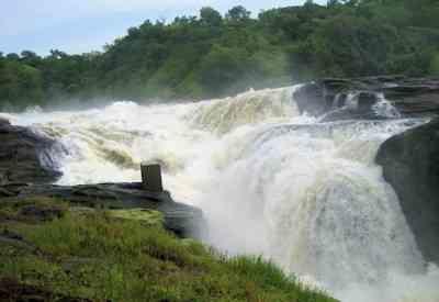 Murchison Falls Safari
